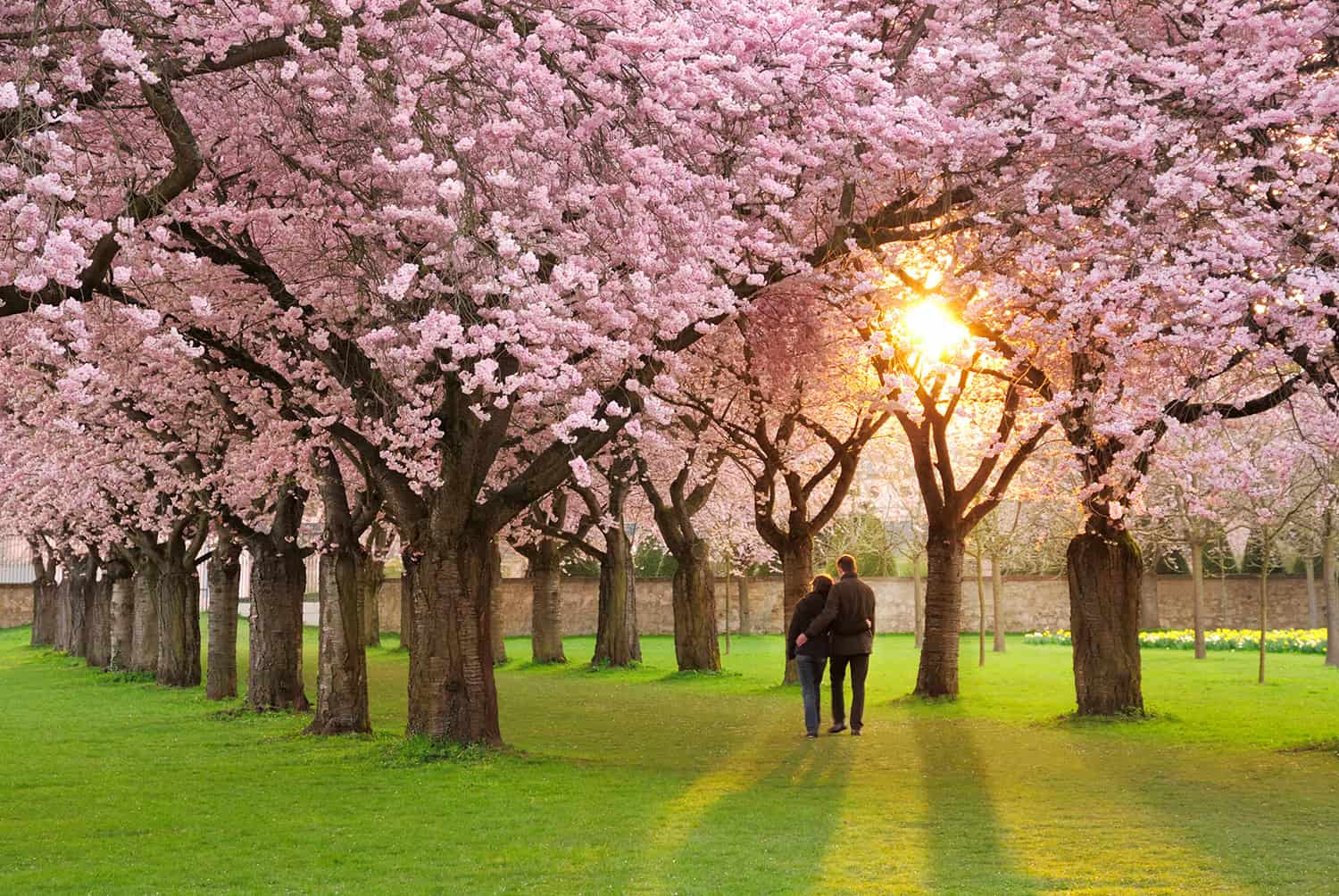 Photograph of a mother and father taking a peaceful walk in the park during sunset appreciating that life can be good